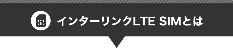 インターリンクLTE SIMとは